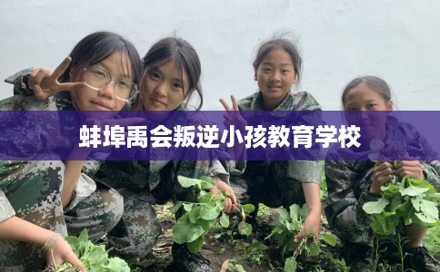 蚌埠禹会叛逆小孩教育学校