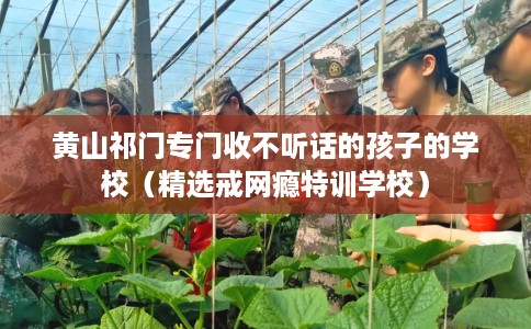 黄山祁门专门收不听话的孩子的学校（精选戒网瘾特训学校）