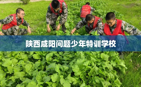陕西咸阳问题少年特训学校