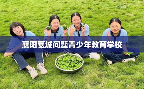 襄阳襄城问题青少年教育学校
