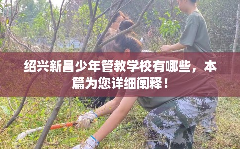 绍兴新昌少年管教学校有哪些，本篇为您详细阐释！