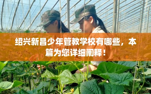 绍兴新昌少年管教学校有哪些，本篇为您详细阐释！