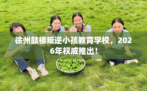 徐州鼓楼叛逆小孩教育学校，2026年权威推出！