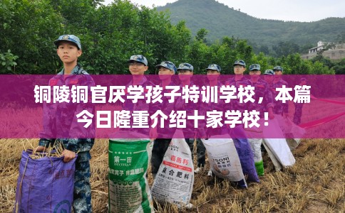 铜陵铜官厌学孩子特训学校，本篇今日隆重介绍十家学校！