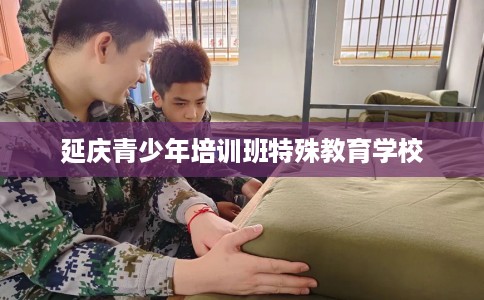 延庆青少年培训班特殊教育学校