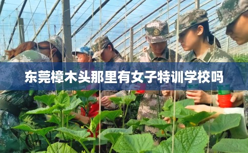 东莞樟木头那里有女子特训学校吗