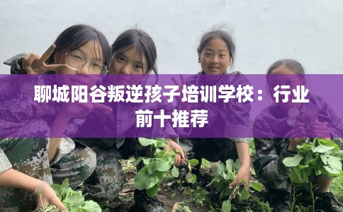 聊城阳谷叛逆孩子培训学校：行业前十推荐