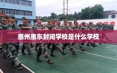 惠州惠东封闭学校是什么学校
