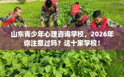 山东青少年心理咨询学校，2026年你注意过吗？这十家学校！