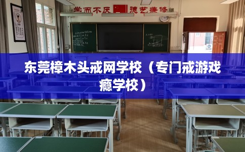 东莞樟木头戒网学校（专门戒游戏瘾学校）