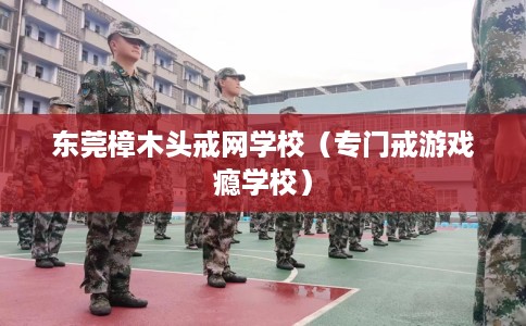 东莞樟木头戒网学校（专门戒游戏瘾学校）