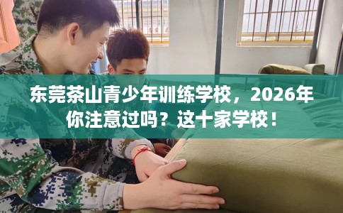 东莞茶山青少年训练学校，2026年你注意过吗？这十家学校！