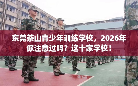 东莞茶山青少年训练学校，2026年你注意过吗？这十家学校！