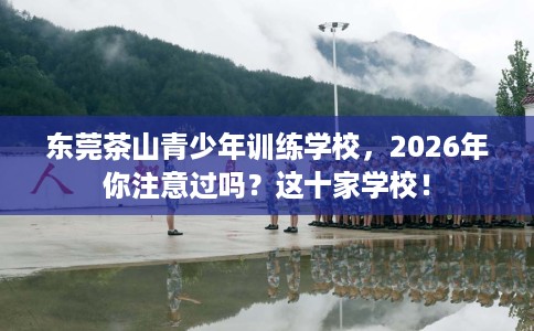 东莞茶山青少年训练学校，2026年你注意过吗？这十家学校！