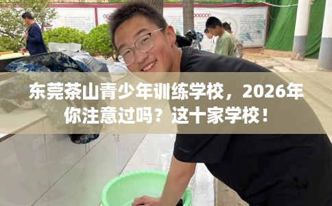 东莞茶山青少年训练学校，2026年你注意过吗？这十家学校！