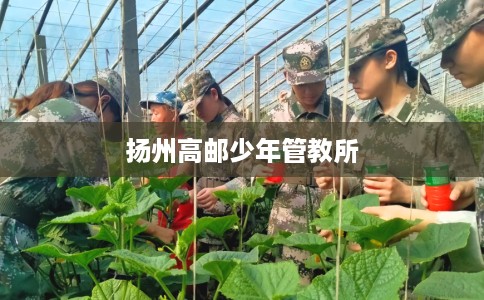 扬州高邮少年管教所