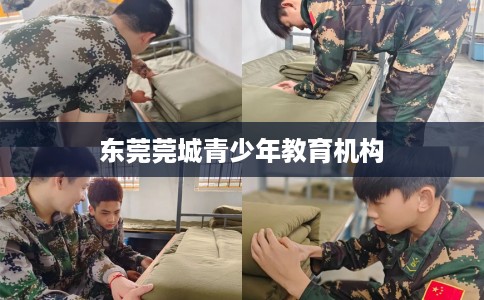 东莞莞城青少年教育机构