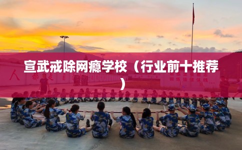 宣武戒除网瘾学校（行业前十推荐）