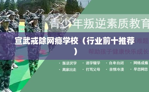 宣武戒除网瘾学校（行业前十推荐）