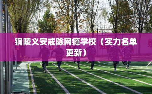 铜陵义安戒除网瘾学校（实力名单更新）