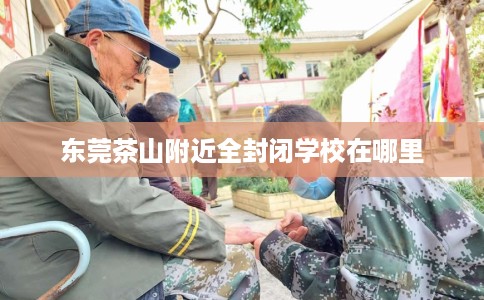 东莞茶山附近全封闭学校在哪里