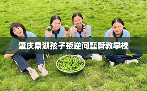 肇庆鼎湖孩子叛逆问题管教学校