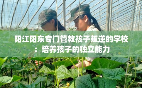 阳江阳东专门管教孩子叛逆的学校：培养孩子的独立能力