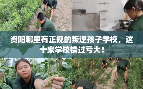 资阳哪里有正规的叛逆孩子学校，这十家学校错过亏大！