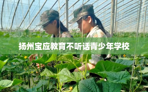 扬州宝应教育不听话青少年学校