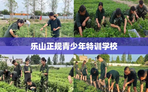 乐山正规青少年特训学校