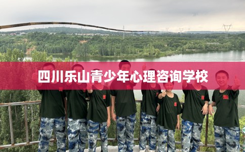 四川乐山青少年心理咨询学校