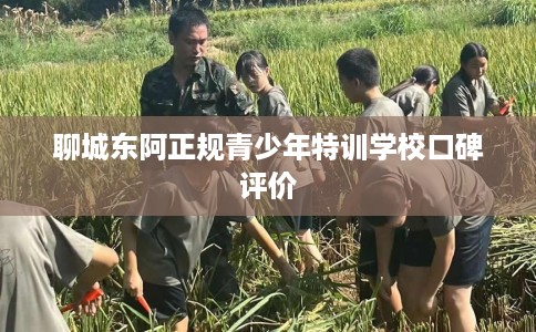 聊城东阿正规青少年特训学校口碑评价