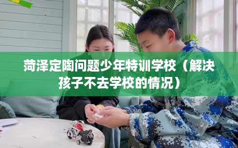 菏泽定陶问题少年特训学校（解决孩子不去学校的情况）
