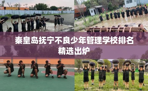 秦皇岛抚宁不良少年管理学校排名精选出炉