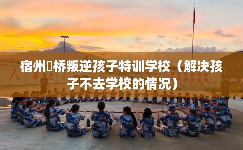 宿州埇桥叛逆孩子特训学校（解决孩子不去学校的情况）