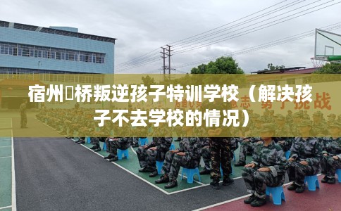 宿州埇桥叛逆孩子特训学校（解决孩子不去学校的情况）