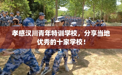 孝感汉川青年特训学校，分享当地优秀的十家学校！