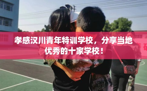孝感汉川青年特训学校，分享当地优秀的十家学校！