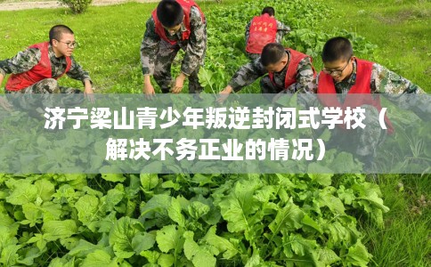 济宁梁山青少年叛逆封闭式学校（解决不务正业的情况）