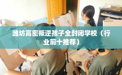 潍坊高密叛逆孩子全封闭学校（行业前十推荐）