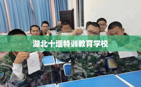 湖北十堰特训教育学校