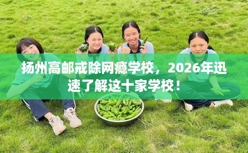 扬州高邮戒除网瘾学校，2026年迅速了解这十家学校！