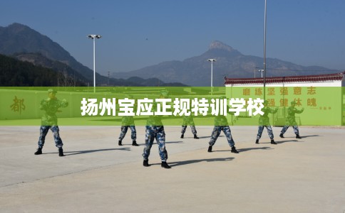 扬州宝应正规特训学校