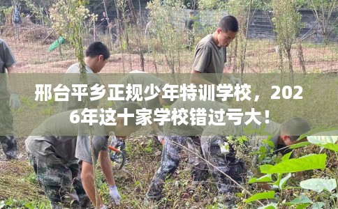 邢台平乡正规少年特训学校，2026年这十家学校错过亏大！