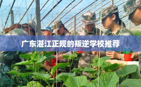 广东湛江正规的叛逆学校推荐