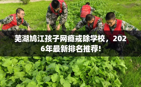 芜湖鸠江孩子网瘾戒除学校，2026年最新排名推荐!