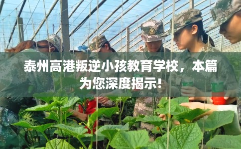 泰州高港叛逆小孩教育学校，本篇为您深度揭示!