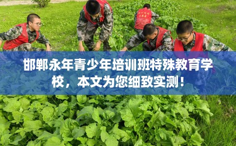 邯郸永年青少年培训班特殊教育学校，本文为您细致实测！