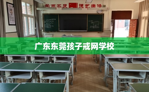 广东东莞孩子戒网学校