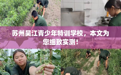 苏州吴江青少年特训学校，本文为您细致实测！